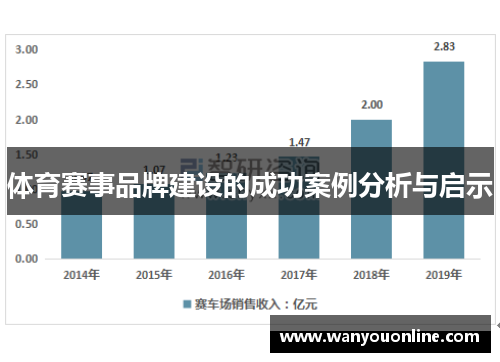 体育赛事品牌建设的成功案例分析与启示