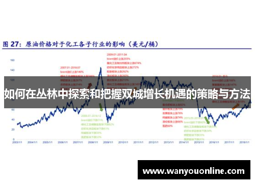 如何在丛林中探索和把握双城增长机遇的策略与方法