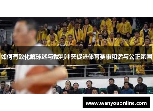 如何有效化解球迷与裁判冲突促进体育赛事和谐与公正氛围